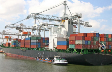 公认进口报关代理公司会采取哪些措施来确保报关服务的专业性？