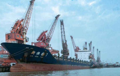 申报进出口货物符合标准并配合海关检查是一项义务