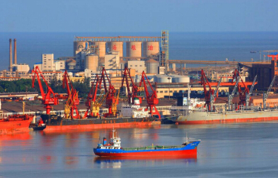 货代需尽快办理NVOCC资质手续，否则后果自行承担